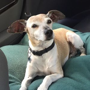 Meet your Posher, Barbara